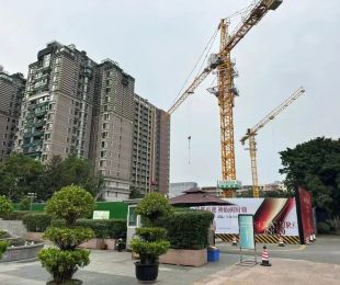 神仙树9号院
