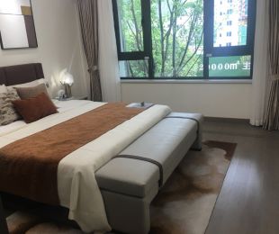 样板图