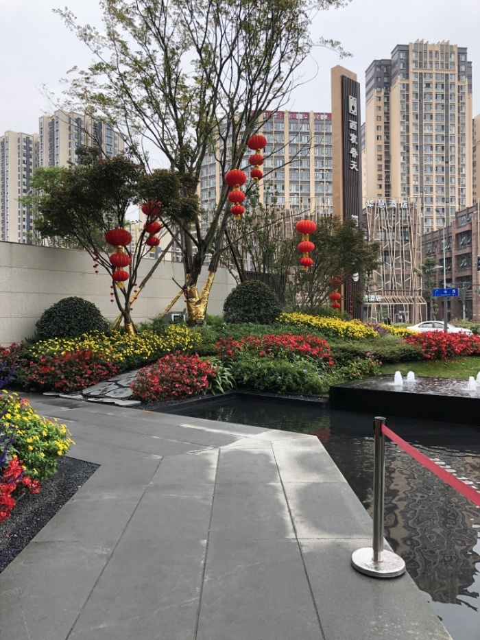 实景图