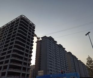实景图