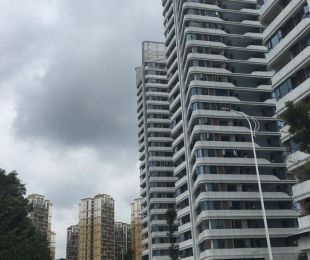 实景图