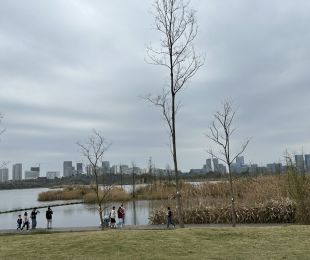 配套图