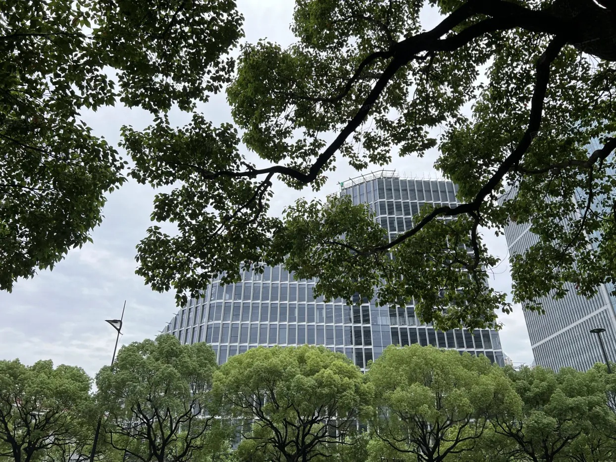 实景图