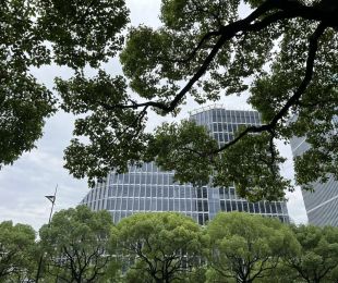 实景图