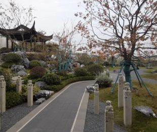 实景图