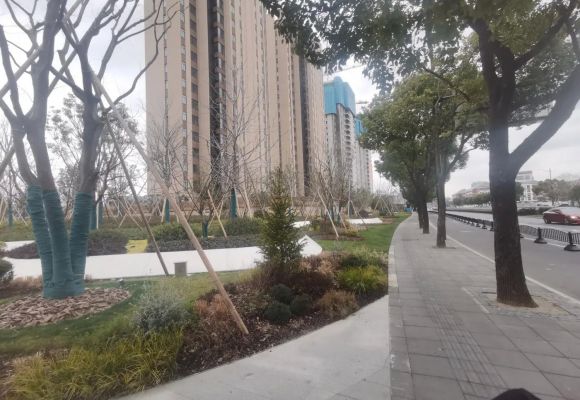 香港置地启元